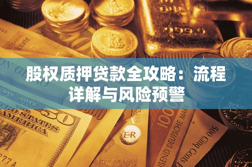 北京股权质押贷款全攻略：流程详解与风险预警