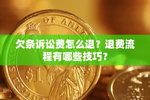 北京欠条诉讼费怎么退？退费流程有哪些技巧？