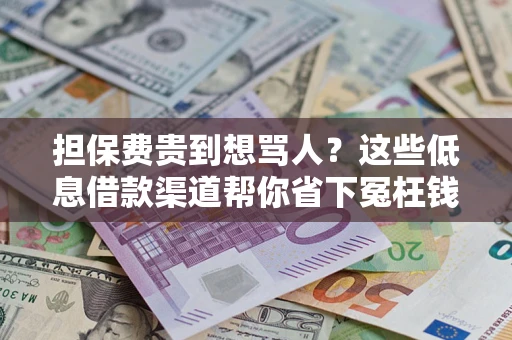 北京担保费贵到想骂人？这些低息借款渠道帮你省下冤枉钱