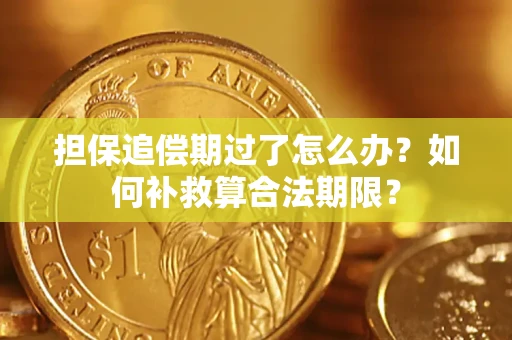 北京担保追偿期过了怎么办？如何补救算合法期限？