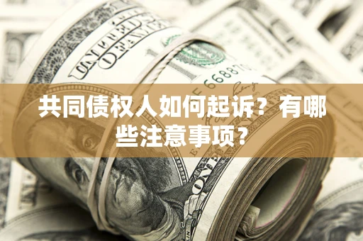 北京共同债权人如何起诉？有哪些注意事项？